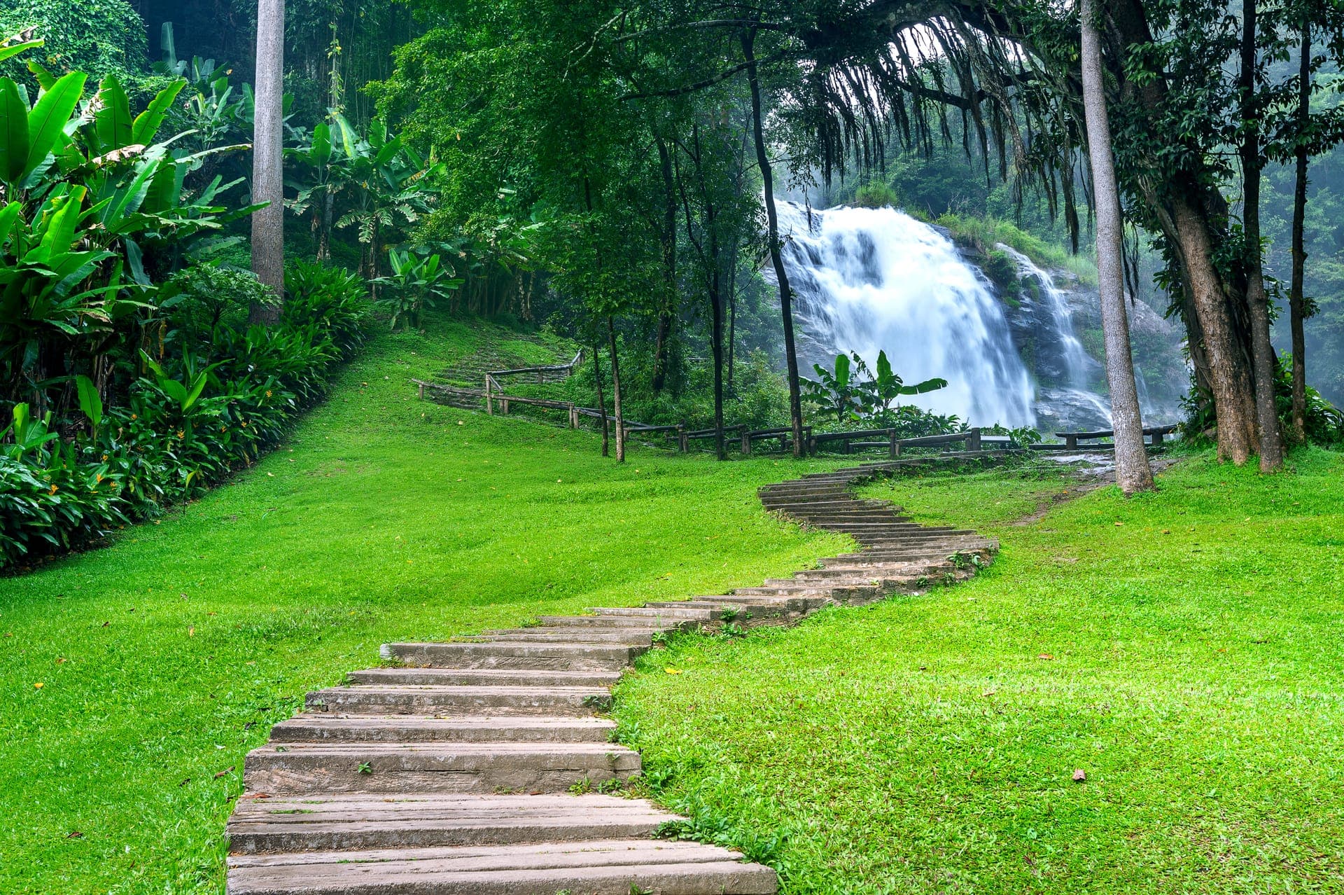 Peaceful yoga practice in nature — find your inner balance with Yogic City